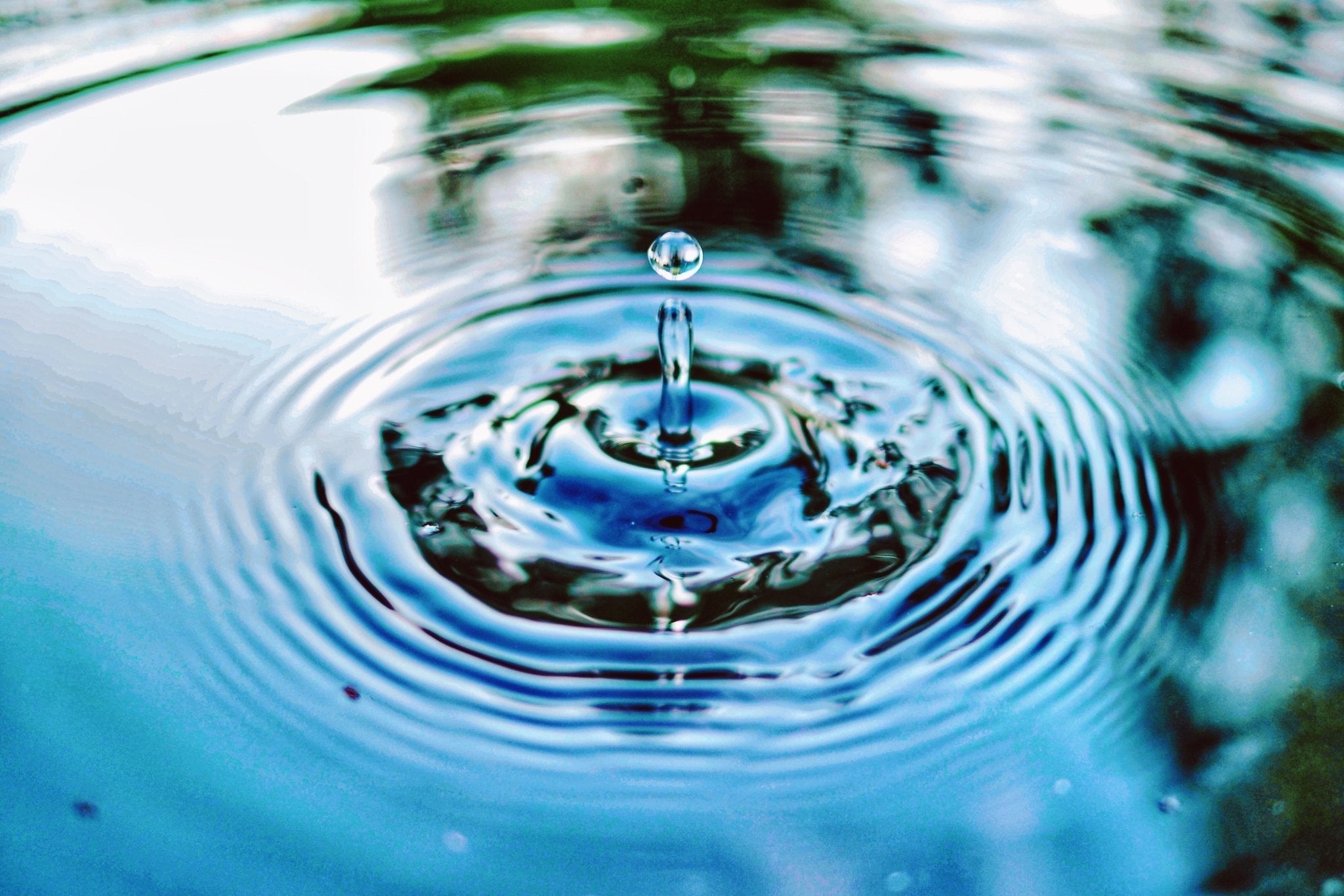 Water Quality in Louisiana: Why Using Home Filters is Important - L'eau Mor