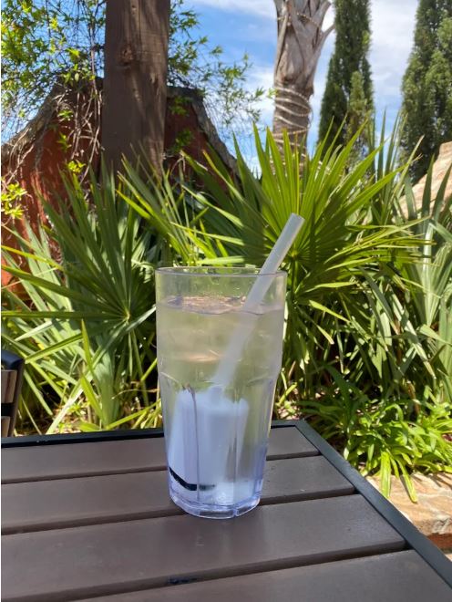 Water Bottle Lid with Straw - L'eau Mor